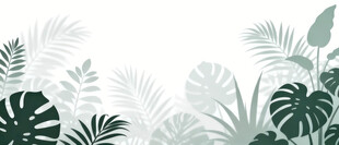 雾气磨砂膜效果绿植贴图