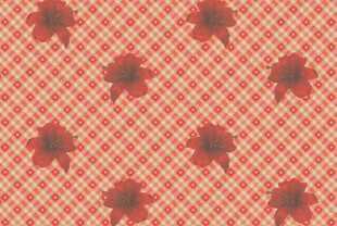 红色格纹花朵图案背景