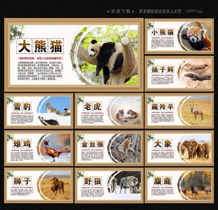 保护野生动物