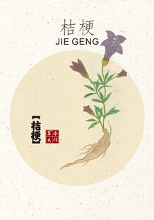 桔梗