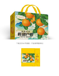 芦柑包装