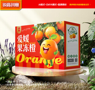 橙子包装 果冻橙礼盒