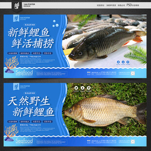 鲤鱼