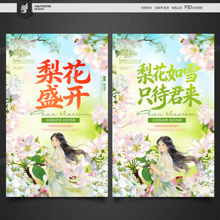 梨花节