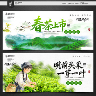 春茶上市
